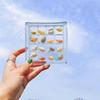 16-Grid Transparent Seashell Storage Box: Magnetic Acrylic Display for Jewelry and Beach Stone Specimens