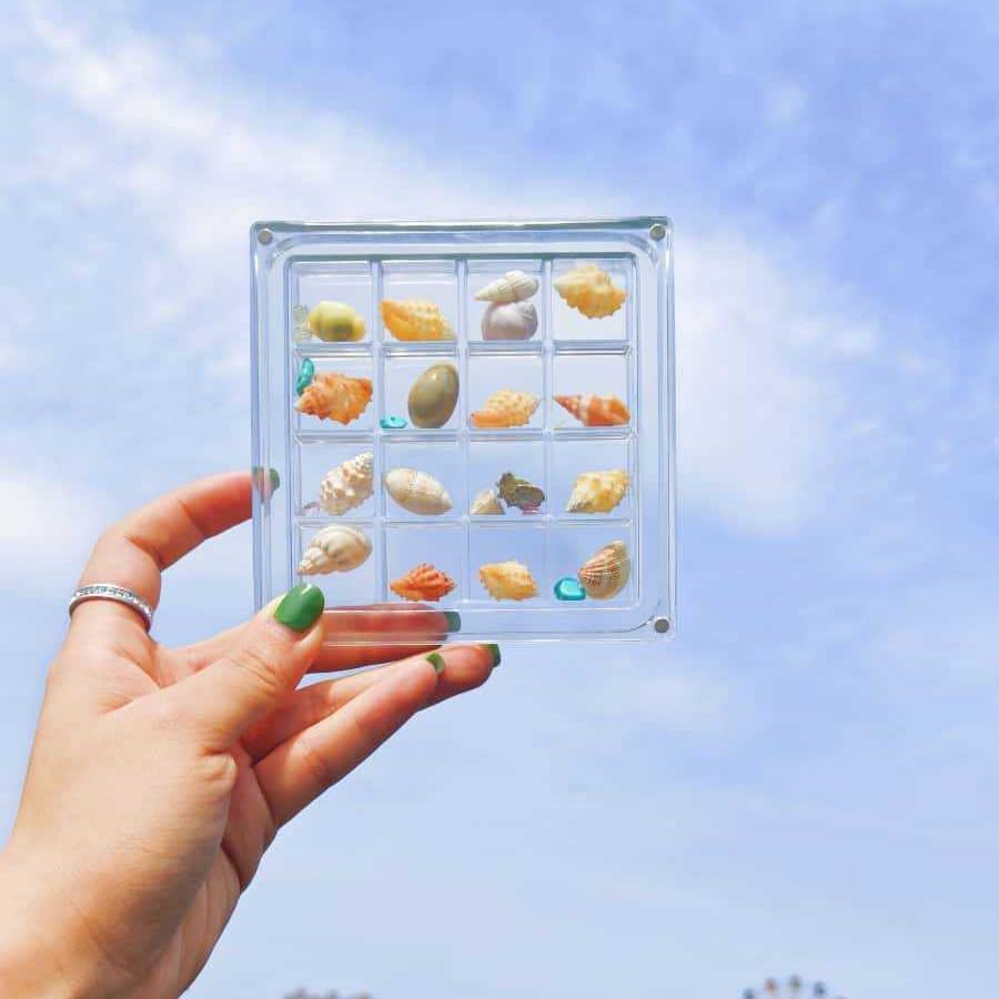 16-Grid Transparent Seashell Storage Box: Magnetic Acrylic Display for Jewelry and Beach Stone Specimens