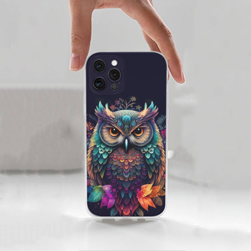 Cute C-Colorful Owl B-Bird Case For iPhone X,XS,SE,12,15,Pro,17,Plus,11,Max,13,XR,14,16,Mini,Transparent Soft Cover