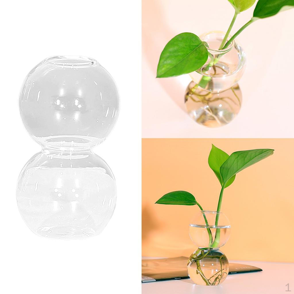 

Vase Hydroponics s er Desktop Glass for Home Decoration 2 Balls