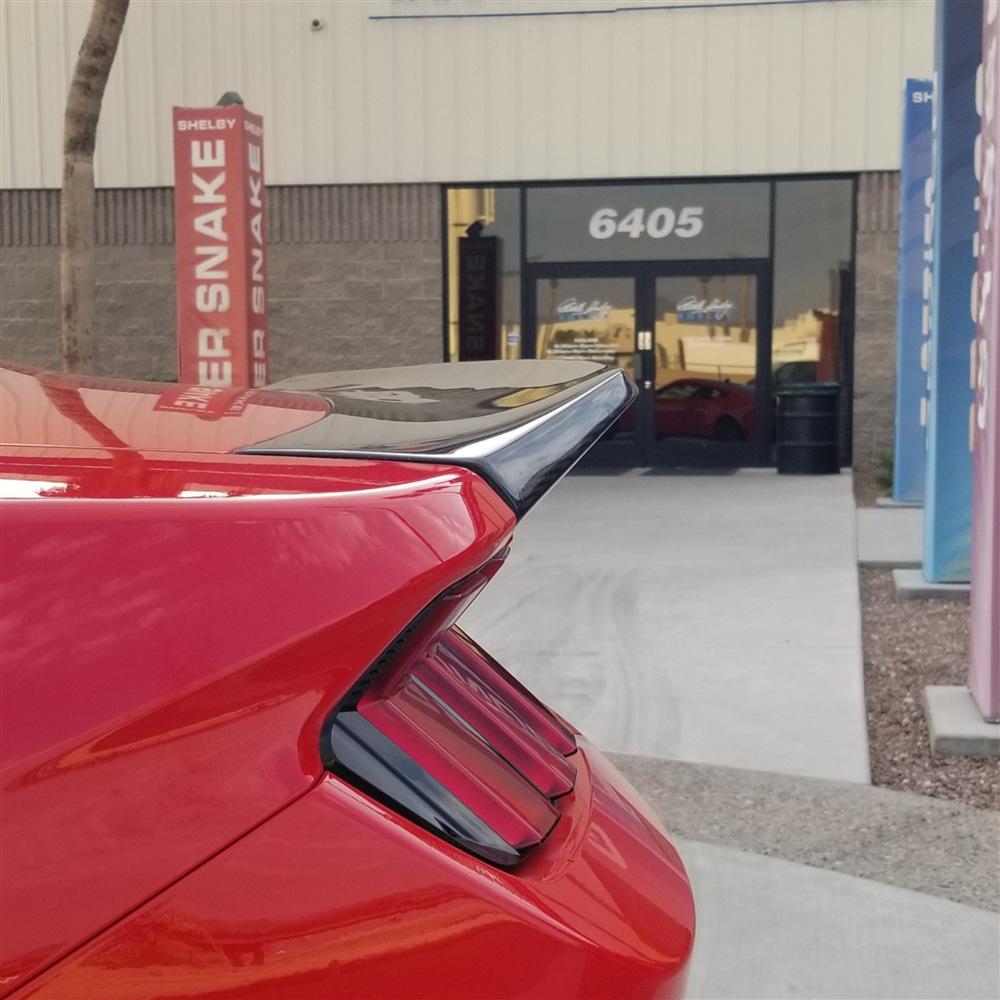 Ford Mustang Dark Horse S650 Carbon Fiber Rear Diffuser Body Kit