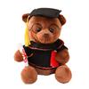 New Doll Graduation Commemorative Gift Doctor Bear Plush Teddy Bear Doll Small Teddy Bear Doll Wearing Doctor Hat Bear