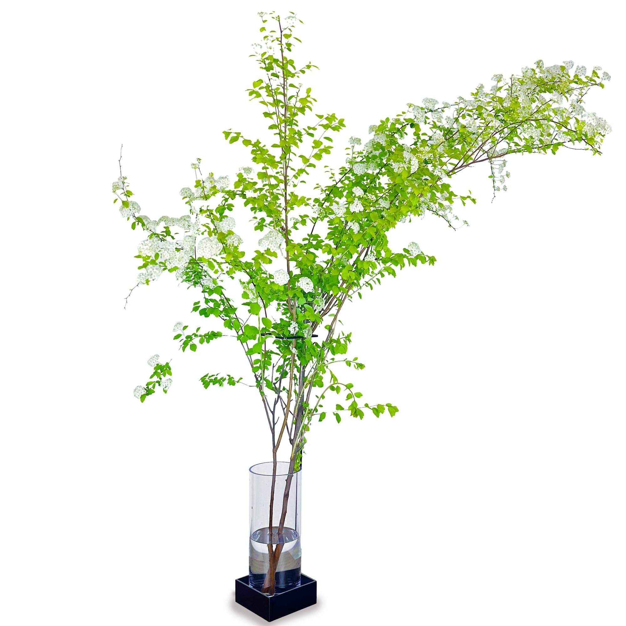 

monoKOZZ [Stand-Standing Branch Stand ~Eda Stand~] [Stand & Vase Set] [Matte Black] Iron Branch Stand, Indoor Decor, Large Branch Stand [Made in