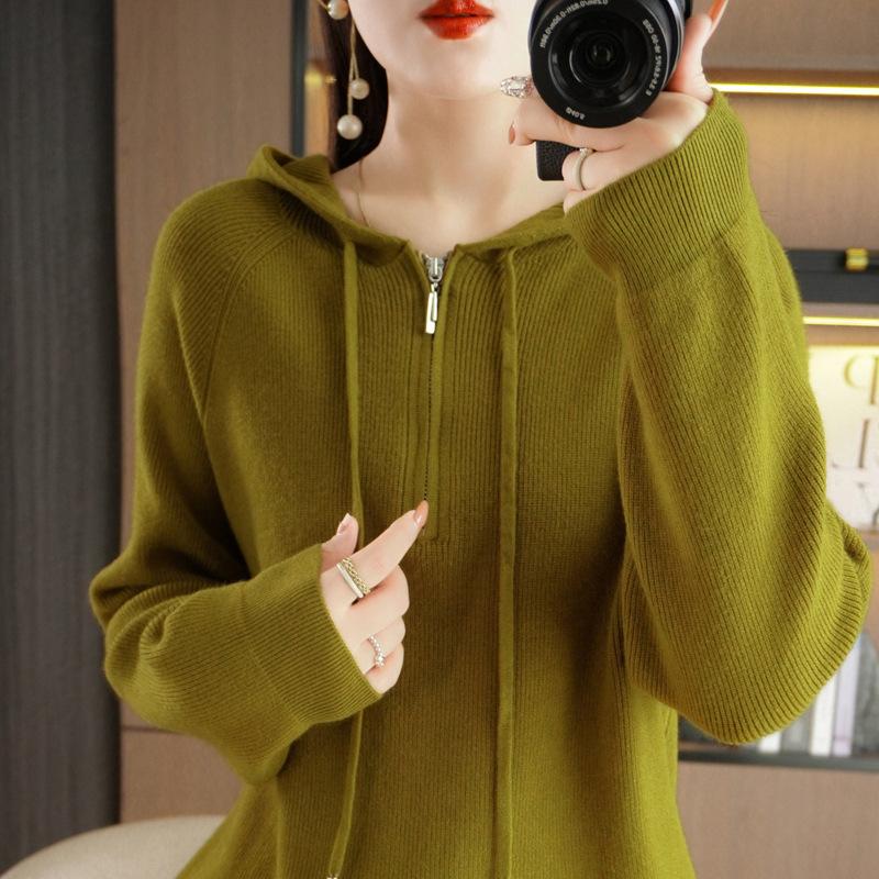 Hooded Solid Color Semi-new Drawstring Sweater Zipper Casual Loose Women's Pullover Andy Velvet Long-sleeved Bottoming Top