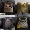 Pet Cat Funny Memes Pillow Case Pattern Printed Pillowcase For Living Room Sofa Cushion Cover  Bedroom Decor