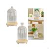 Clear Glass Cloche Dome Bell Jar Dustproof Display Case Flower Cover with Wooden Base