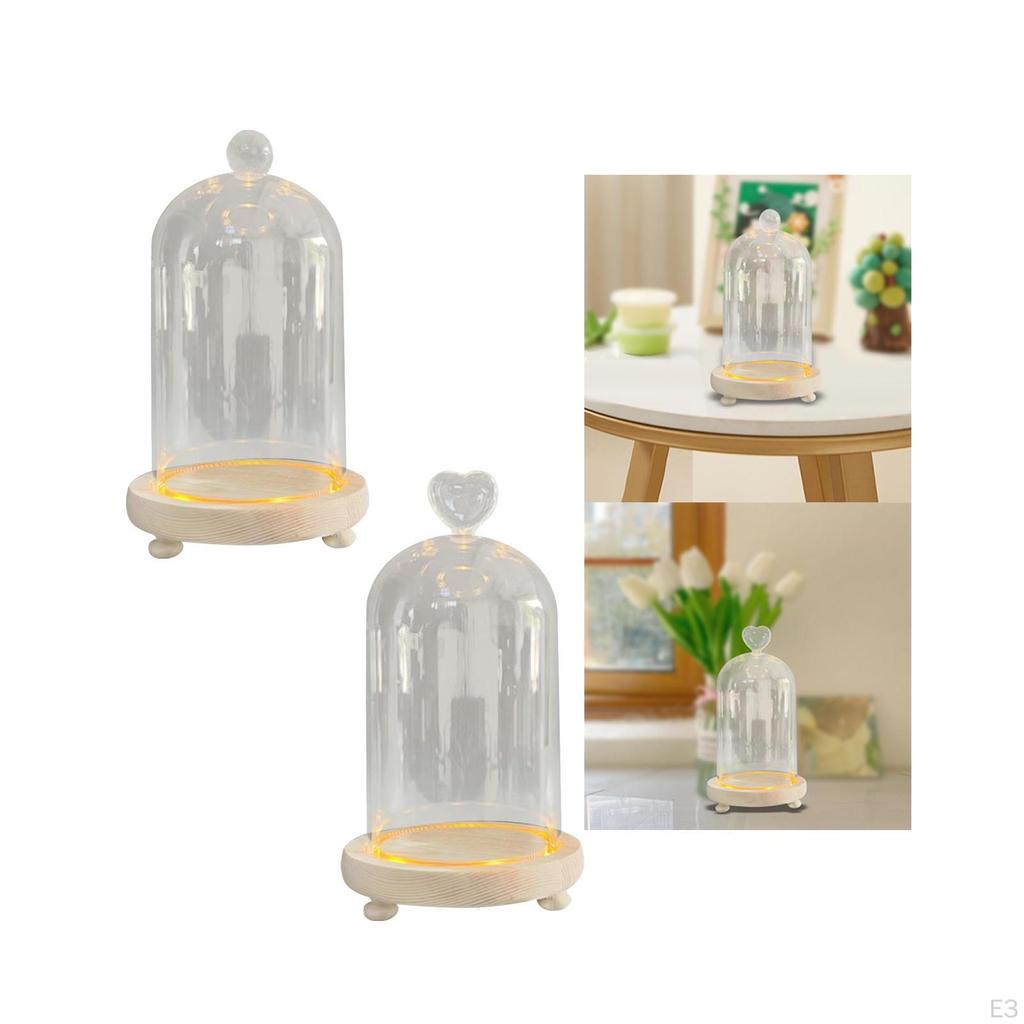 Clear Glass Cloche Dome Bell Jar Dustproof Display Case Flower Cover with Wooden Base