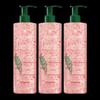 René Furterer Kräftigendes & Volumenaufbauendes Shampoo (3x600ml)