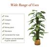 Coir Moss Pole Plant Support Coconut Shell Sturdy Pointed Bottom Coir Totem Pole