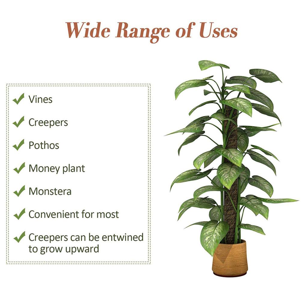 Coir Moss Pole Plant Support Coconut Shell Sturdy Pointed Bottom Coir Totem Pole