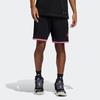 Adidas Dame Dolla Extply Sports Shorts With Pink Stripe Trim And Logo Print Men Shorts Black HB7885