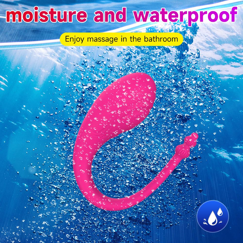 Wireless Bluetooth Control Wearable Vibrator G-Spot Vibrating Clitoris Massage Anal Stimulation Sex Toys for Women Couples