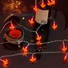 Battery Operated Heart Shaped LED String Lights LED Valentines Day Decor  Indoor Outdoor Use