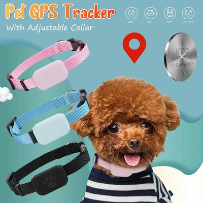 Perros – Collares y correas
