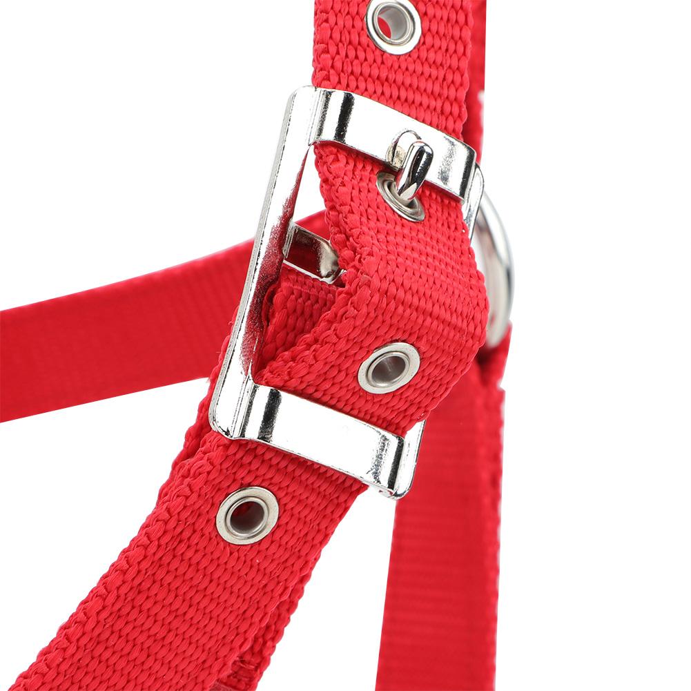 High Density 6mm Thickened Webbing Horse Bridle Control Halter Riding Accessories Red Color