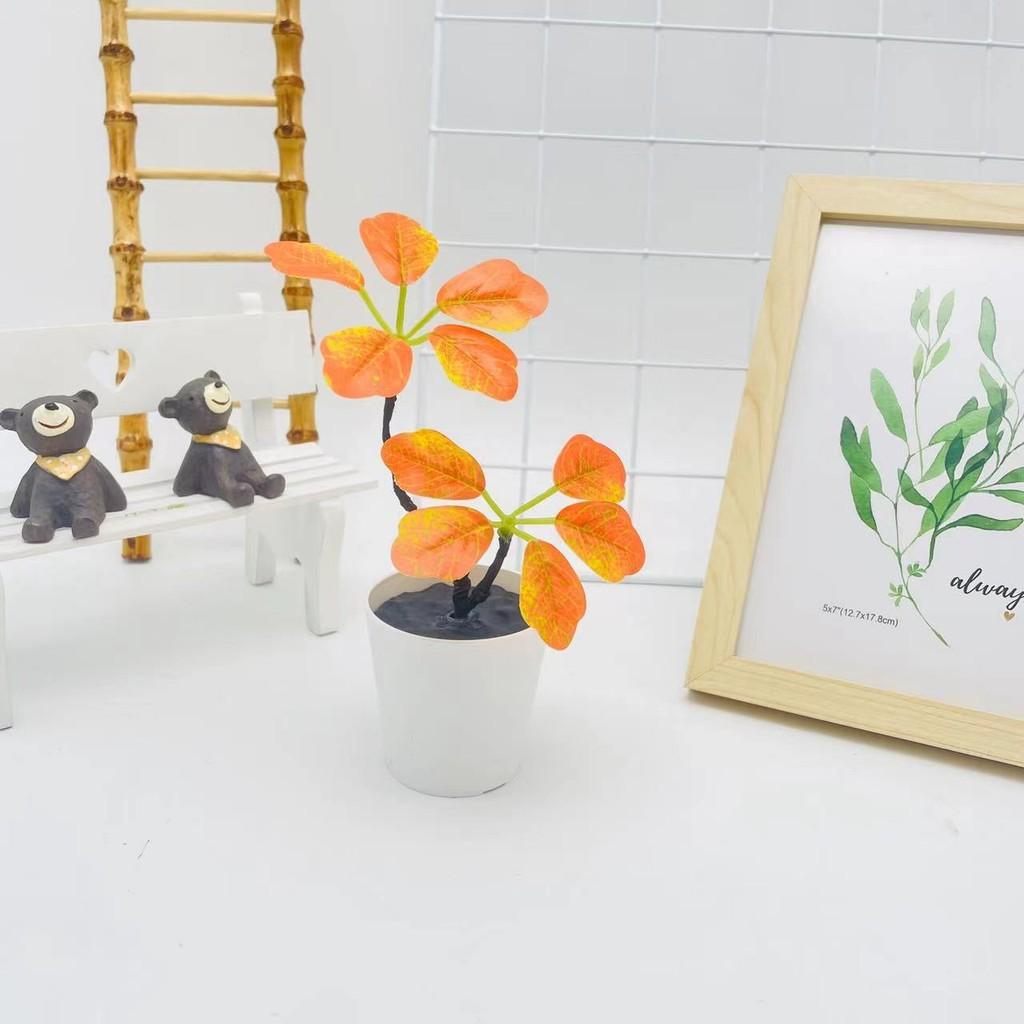 Plant Curved Green Bonsai For Wedding Decor And Photography Decorative Props