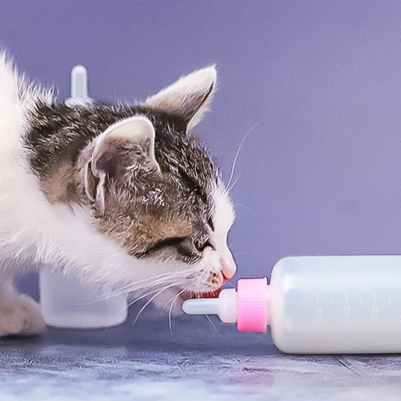 High-Quality Durable Feeding Bottle for Kittens and Newborn Puppies with Pet Nipple
