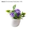 Mini hrnková rostlina High Simulation Příslušenství Živé barvy hrnková rostlina Dekor domečku pro panenky pro krajinu