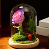 The New Little Prince Eternal Life Rose Lantern Glass Cover Ornament for Girlfriend's Birthday Gift Valentine's Day Gift