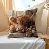 Vikama Highland Cow Print Pillowcase Animal-Themed Cute Design For Living Room Sofa And Bedroom Decor