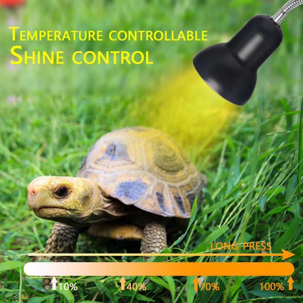 Adjustable Light Stand for Ideal Heat Light Source for A Variety of Adjustable Light Stand with Timer for Pet Heater for Ceramic