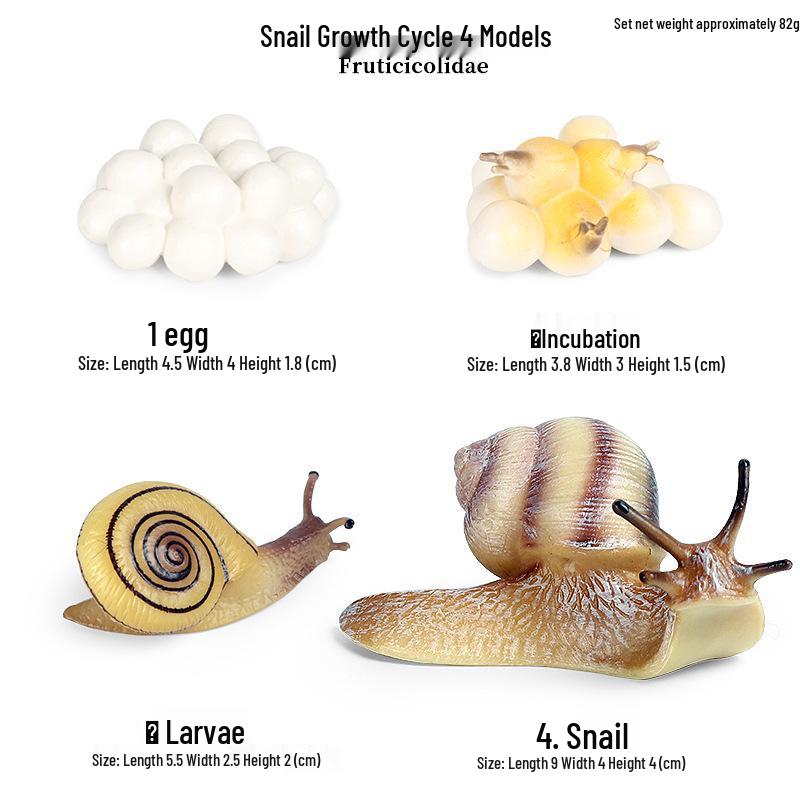 Cross-border Simulation Animal Suction Toy: Butterfly, Rooster, Ant, Frog, Sea Turtle, Mosquito Growth Cycle Models