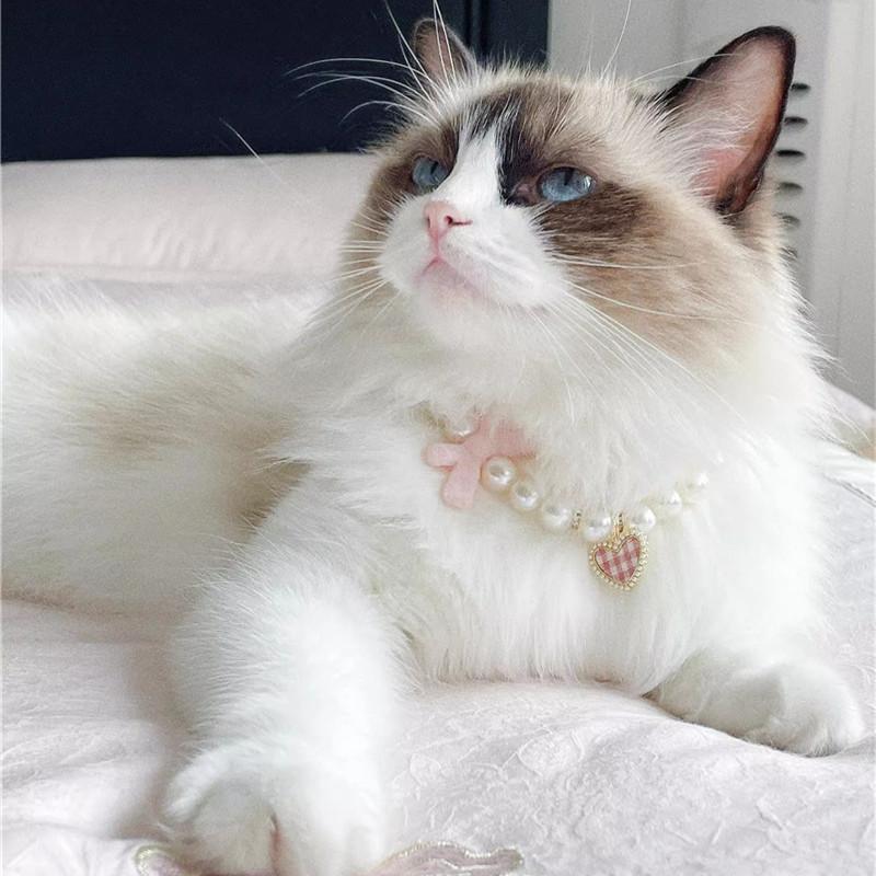 Pet Bow Pearl Collar Cat Jewelry Heart Pendant Necklace Dog Sweet Decorations Puppy Rhinestone Collar Chihuahua Accesorios