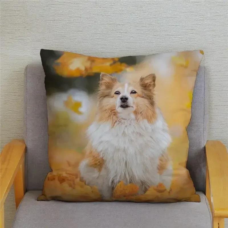 Cute Welsh Corgi Pembroke Dog Cushion Cover Pillow Case Home Decor Animal   Sofa Car