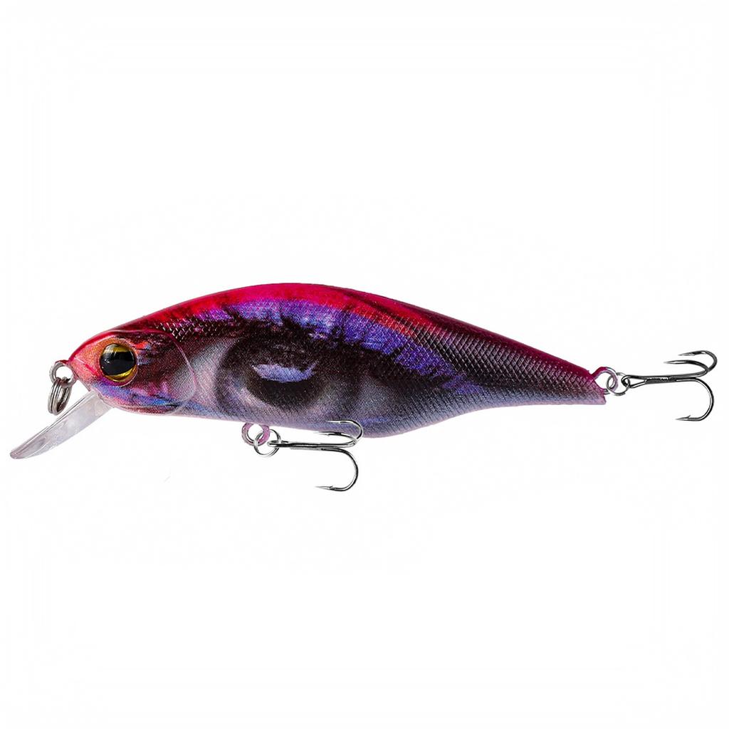 Floating Hard Plastic Crankbait for Fishing