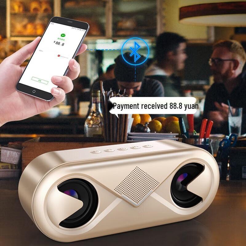 SooPii BT21 Portable Outdoor Bluetooth Speaker