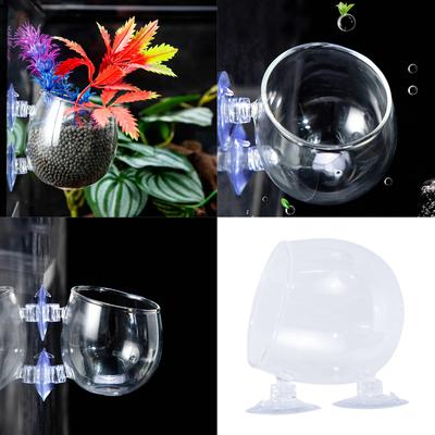 Aquarium-Pflanzbecher, Pflanzenhalter aus Glas für Aquarien mit Saugnäpfen für Hydrokulturpflanzen und Aquarien, Landschaftsbau