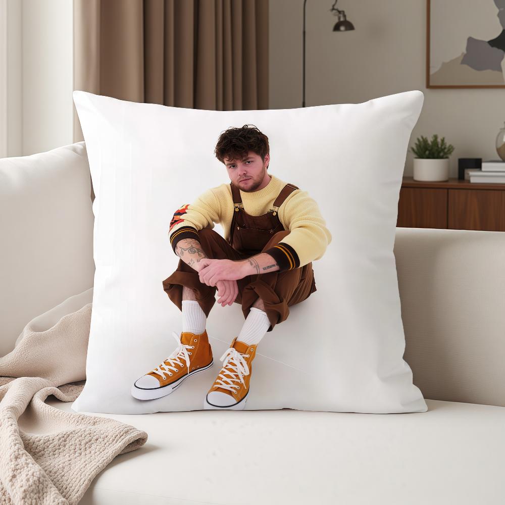 American Singer Aalex Wwarren Pillow Case Suitable For Bedrooms Living Rooms Cars Home Decoration