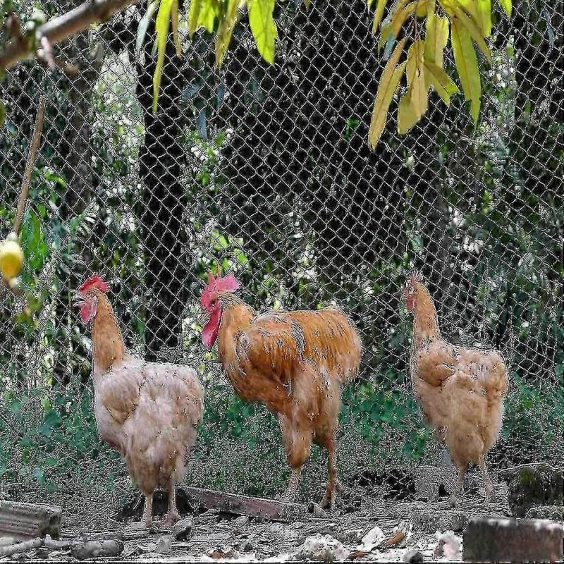 20m X 4m Black Bird Netting, Heavy Duty Bird Netting, Poultry Aviary Netting, Bird Protection Nettin