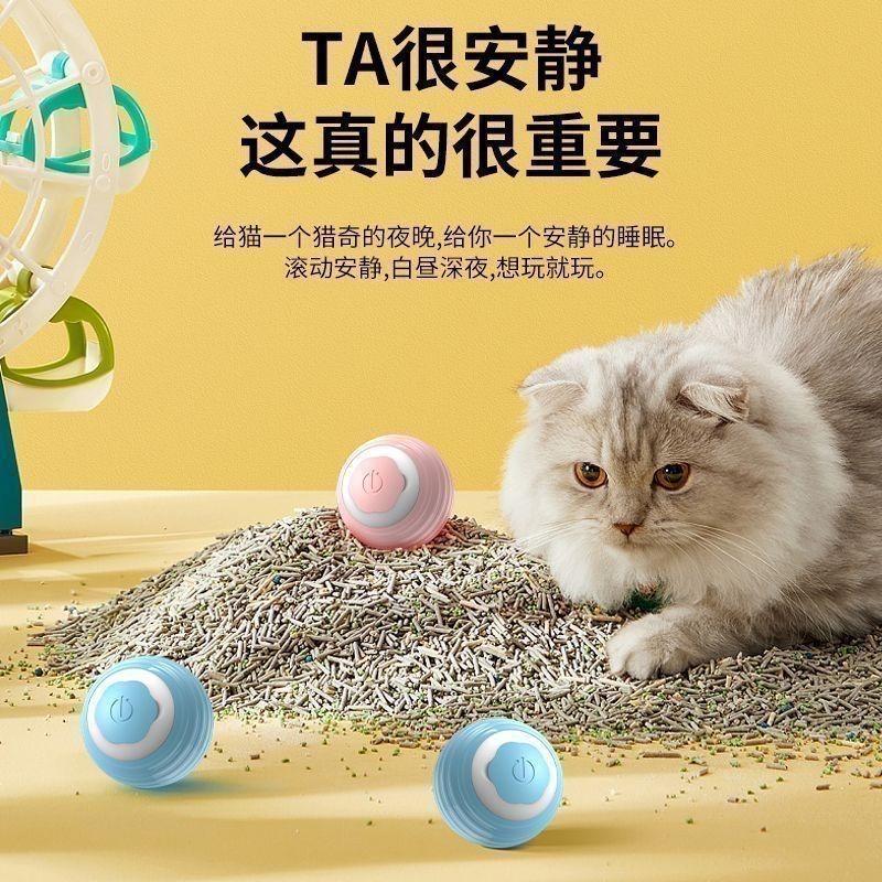 Smart Rolling Ball Toy
