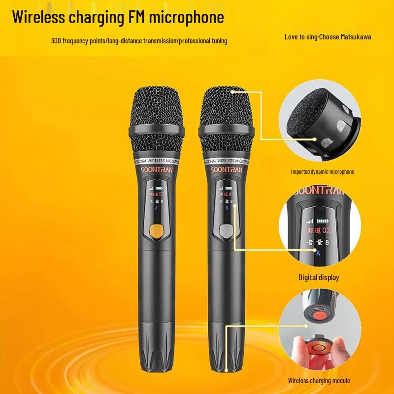 Songchuan SG30 Outdoor Portable KTV Speaker