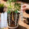 11/11Pcs Drainage Pipes To Prevent Root Rot and Improve Drainage, Suitable for Indoor and Outdoor Use Plant Root Ventilation