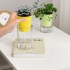 Simple Modern Imitation Glass Succulent PlanterinsCreative Style Desktop Ornament Indoor Green Plant Pot Container