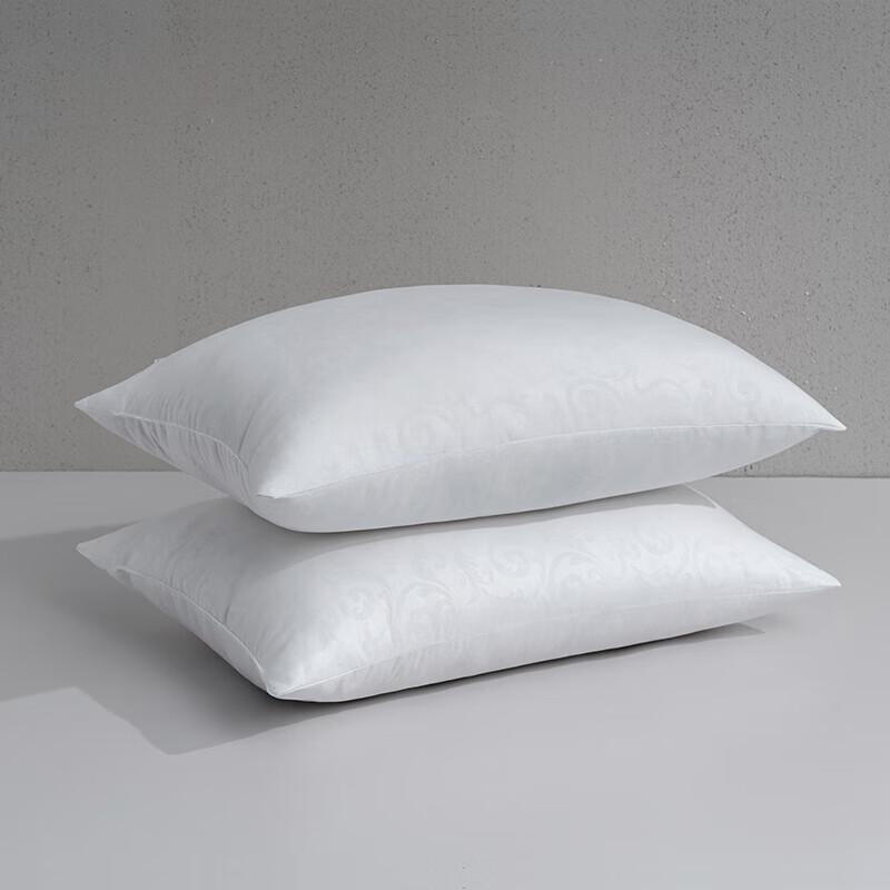 

Mercury Home Textiles DH Ningyi Antibacterial Pair Pillow Set