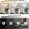 Elegant Leaf-Shaped Metal Ceiling Light with Acrylic Shade – Semi-Flush Mount