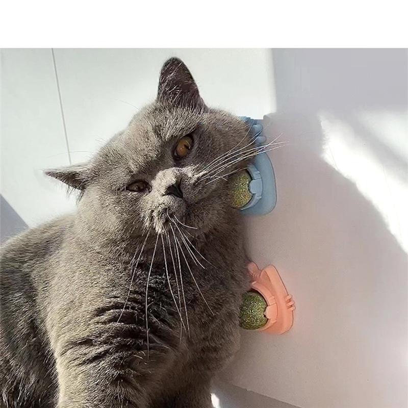 

Cat Cat Mint Ball Cat Indoor Cat Cat Teeth Are Clean