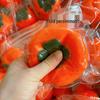 Persimmon Stress Relief Squeeze Toy - Slow Rebound Decompression