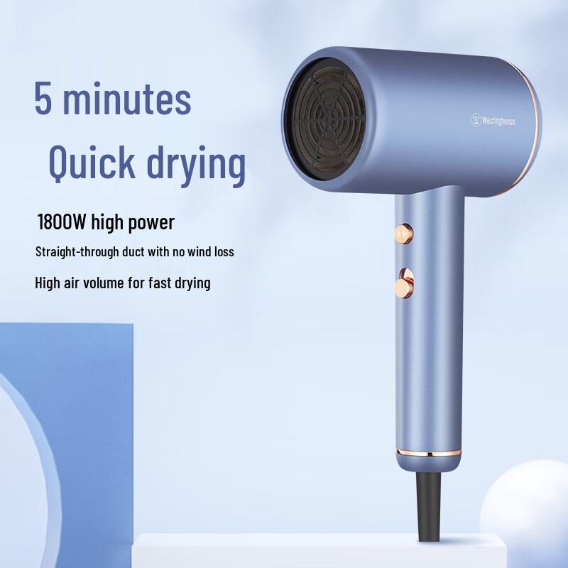 Westinghouse Negative Ion High-Speed Hair Dryer CN plug (adapter included)