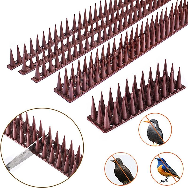 1-20 Stück Vogelabwehrspikes Langlebige Vogelabwehrspikes Pfeil Taubenspikes Zaun-Kit Eichhörnchen Waschbär Taube Tierabwehrspikes