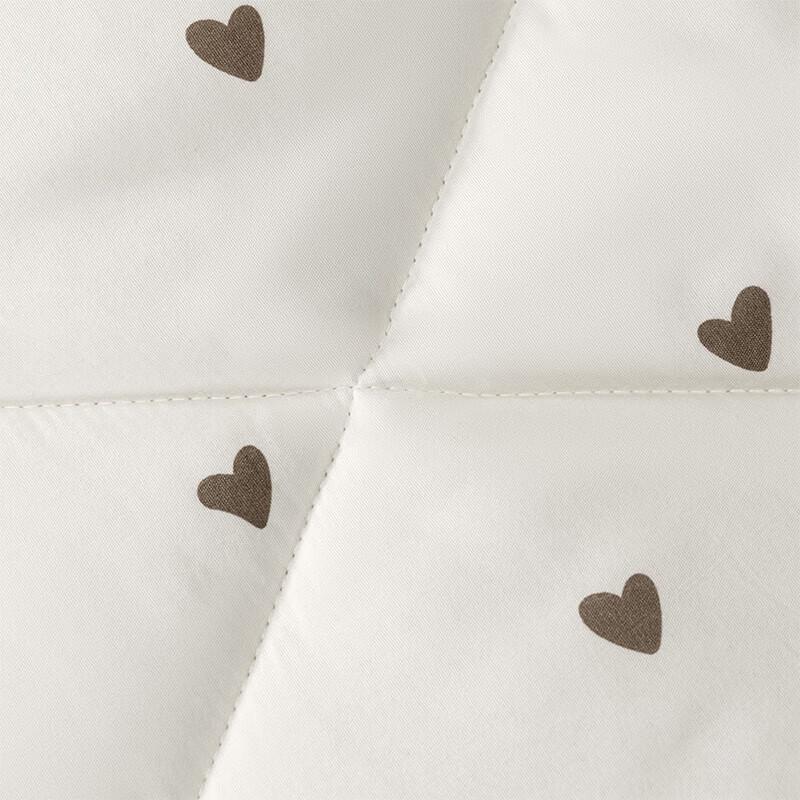 Xifuni Warm Brushed Microfiber Quilt
