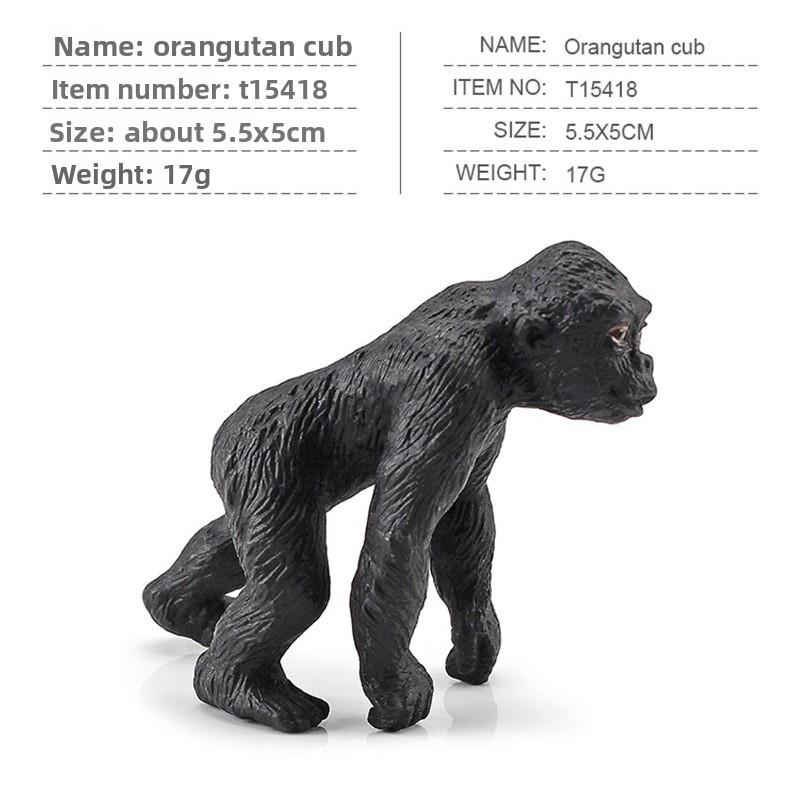 Squirrel Animal Model Set With Pvc Realistic Figures For Educational Play And Collecting Enthusiasts