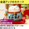 Felimoa Lucky Cat Money Feng Shui Decorative Increases Includes Set of 2 and Box, Ornament, Wealth, Cushion, (Red Blue)