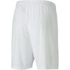 Puma Teamgoal 23 Solid Logo Elastic Waist Three-Quarter Sports Shorts Men shorts 704262-04