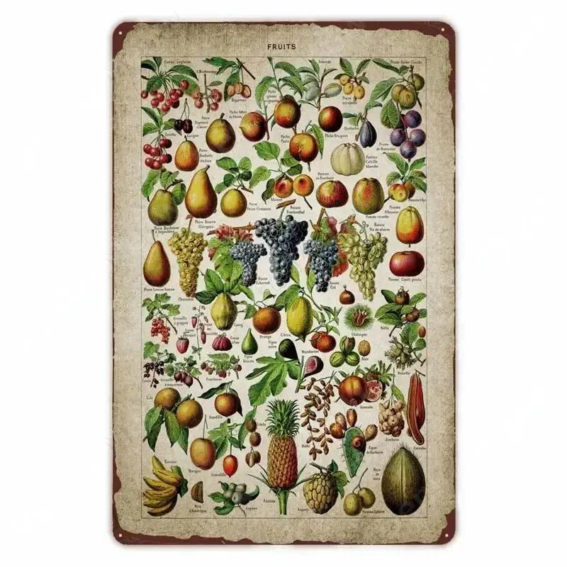 Retro Vegetable Plants Poster Vintage Fruits Metal Tin Sign Cauliflower Wall Art Sign Garden Kitchen Farm Flowers Plate Decor