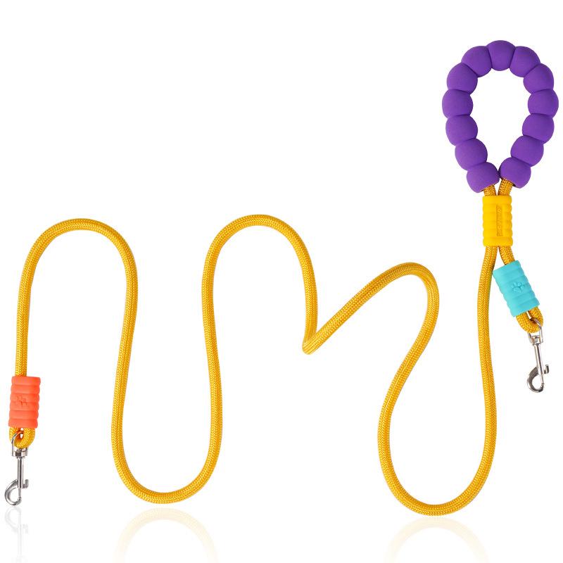 Heavy-Duty Nylon & Leather Dog Training Leash with Anti-Riot P Chain