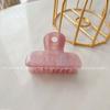 Acetate Hair Elegant Claw Clip For Women In Trendy Colors Stylish Accessory Hair